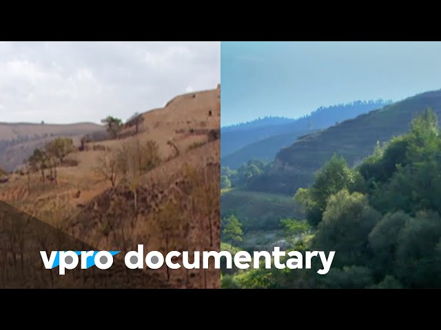 Regreening the desert with John D. Liu | VPRO Documentary | 2012